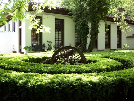 The museum courtyard in summer, with the cart wheel set among the boxwood