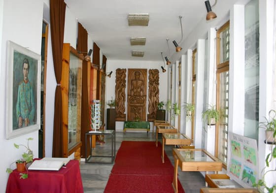 Display cases and panels in the exhibition hall