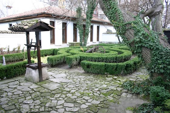 The well in front of the veranda and the ivy-clad walnut, nearly two centuries old